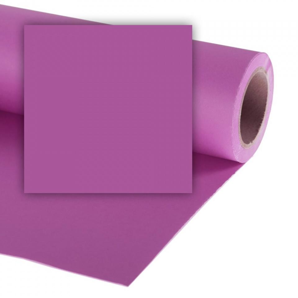 Фуксия (Fuchsia)