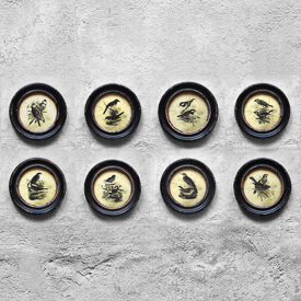 Сет постеров "Птицы", 8шт