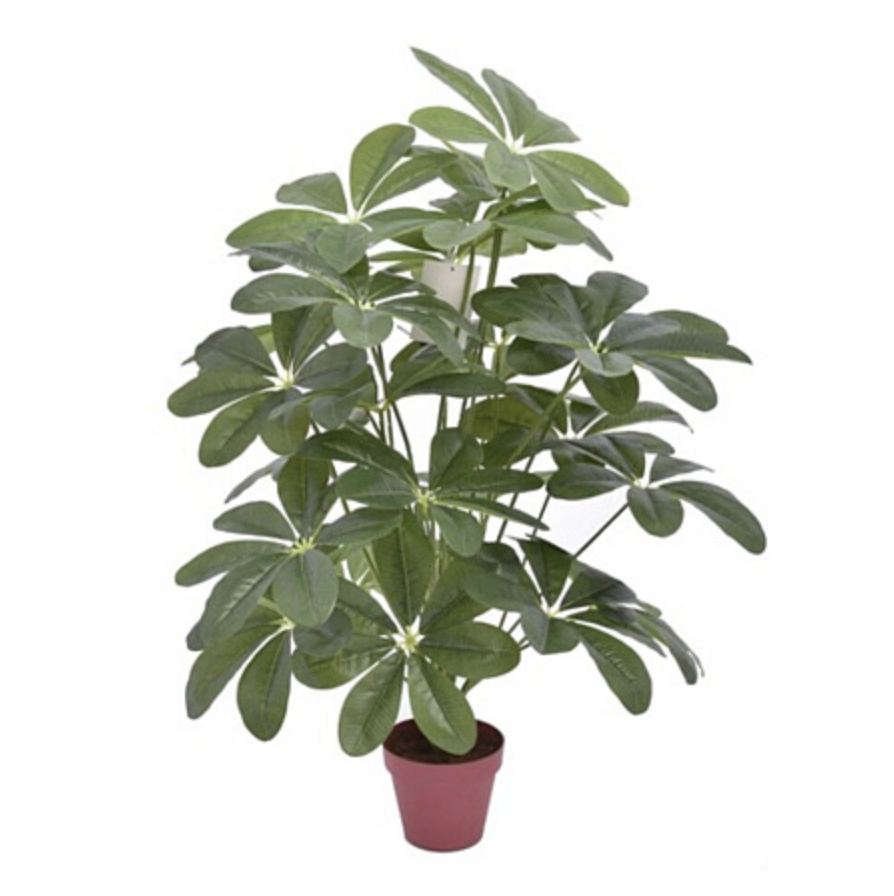 Шефлера искусственная в кашпо 65см