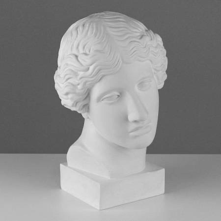 Гипсовая голова Амазонка