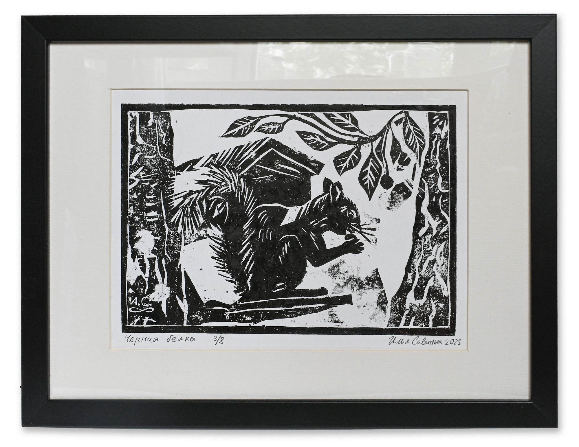 Черная белка