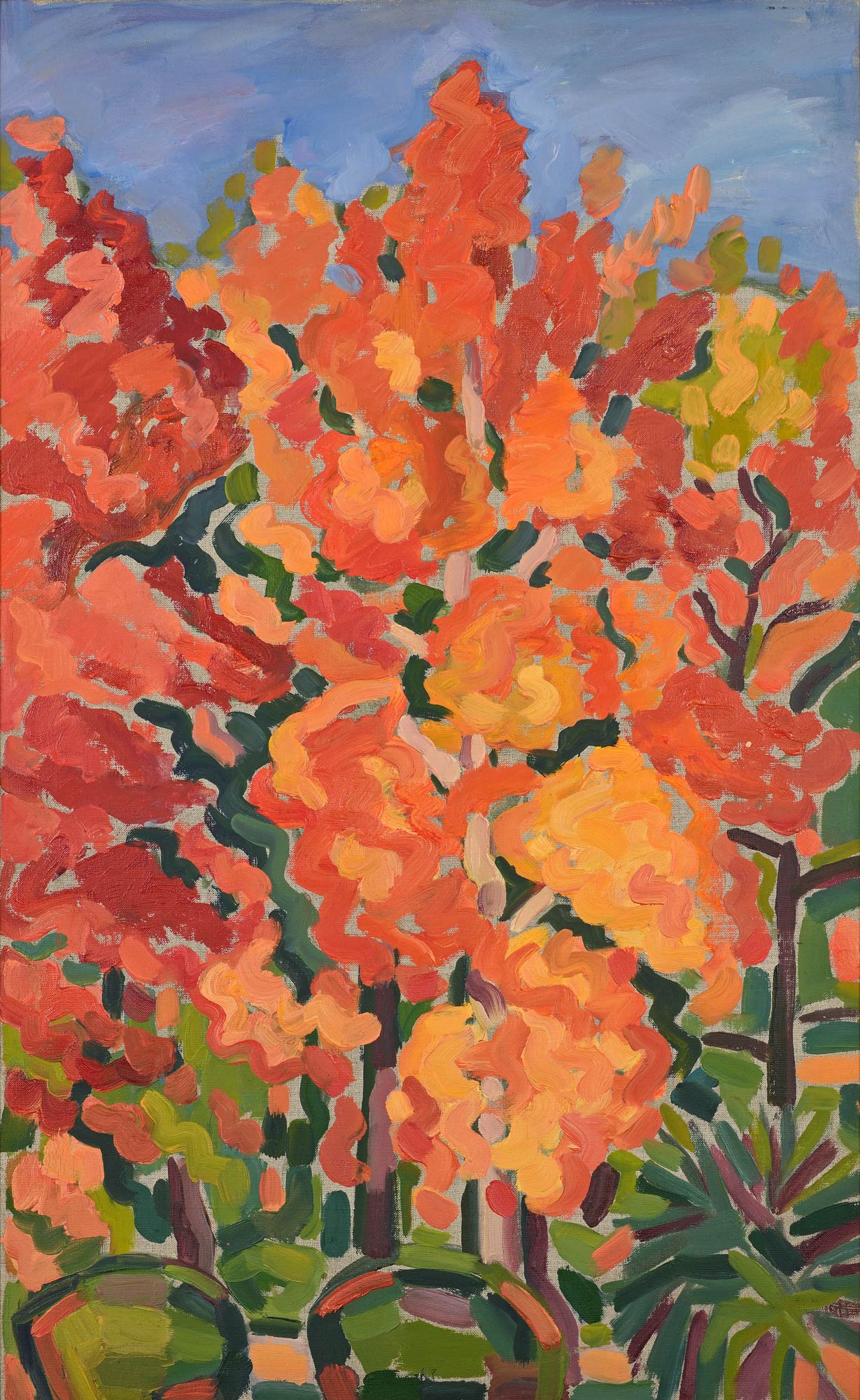 Огненные клёны