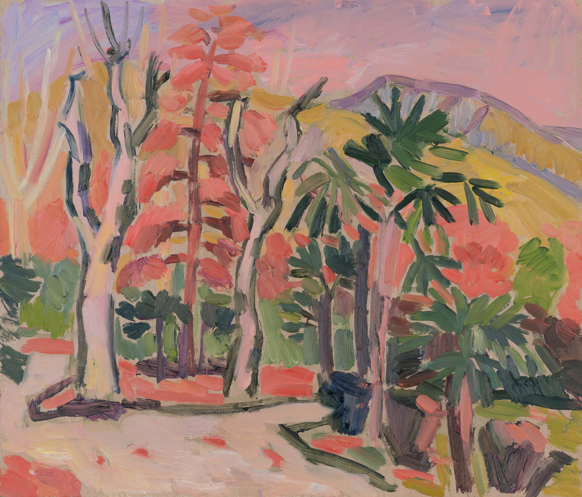 Розовый вечер