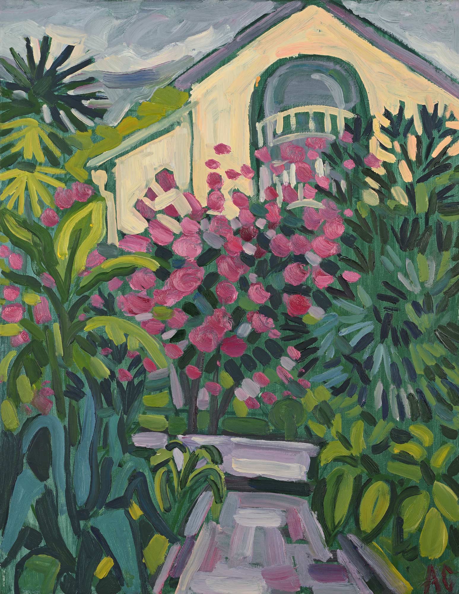 Цветение бугенвилии