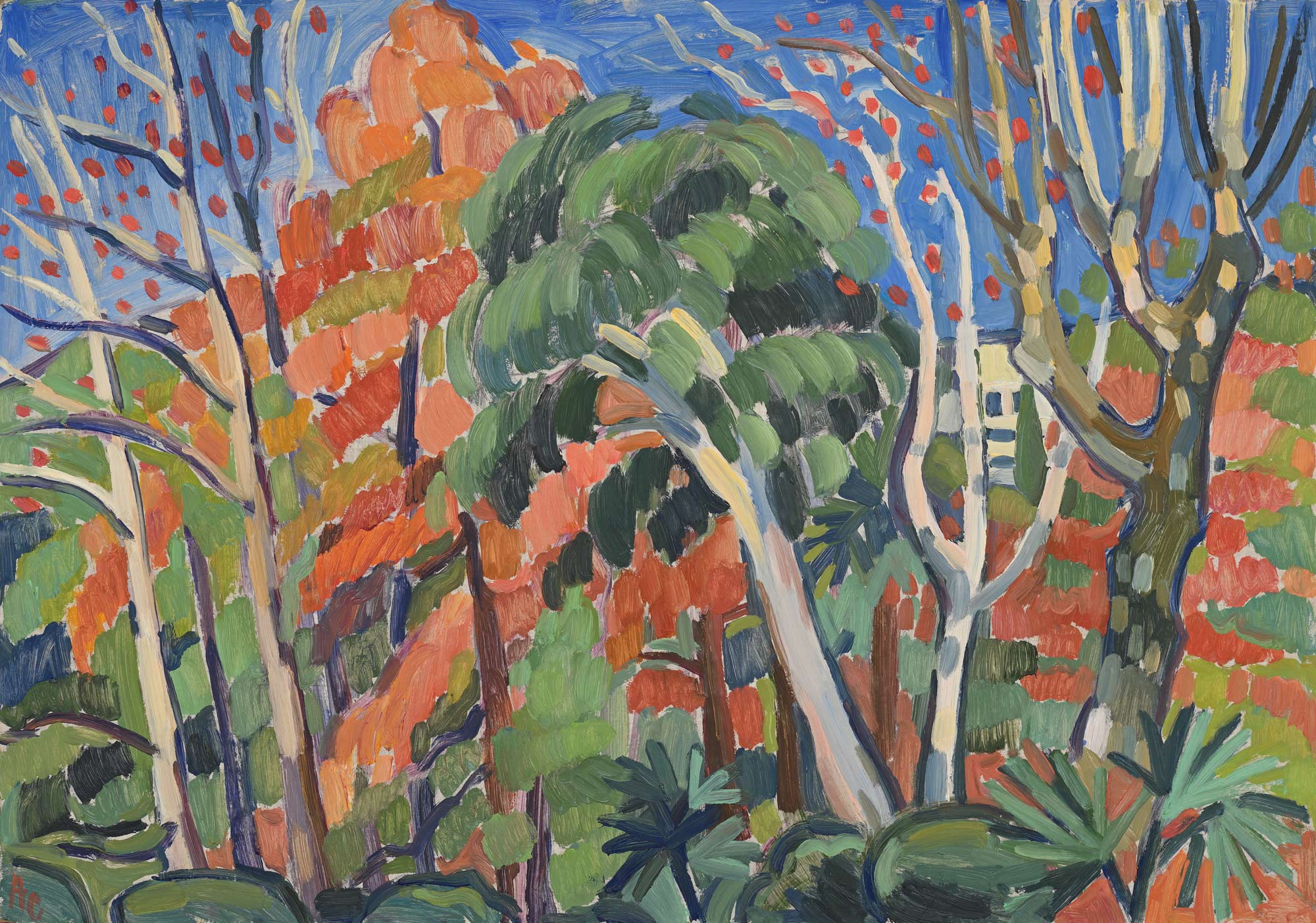 Осень в Абхазии