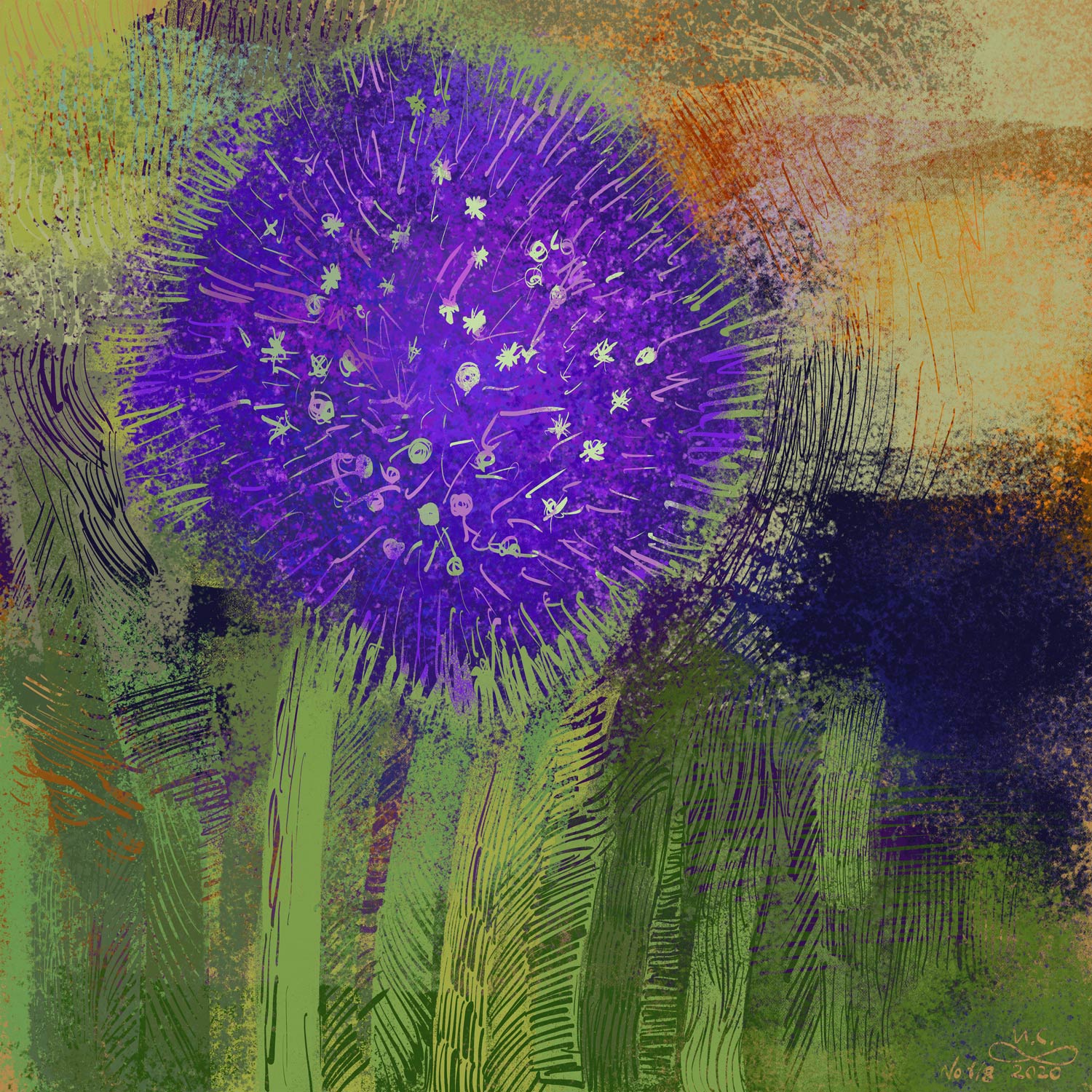 Дикий лук серия Круг