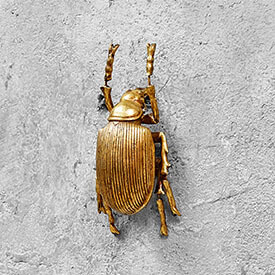 Жук (настенный декор)