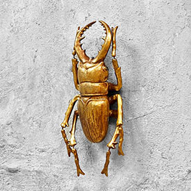 Жук (настенный декор)