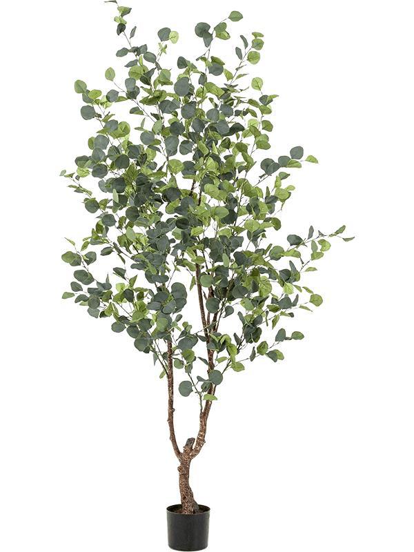 Эвкалиптовое дерево искусственное h 180