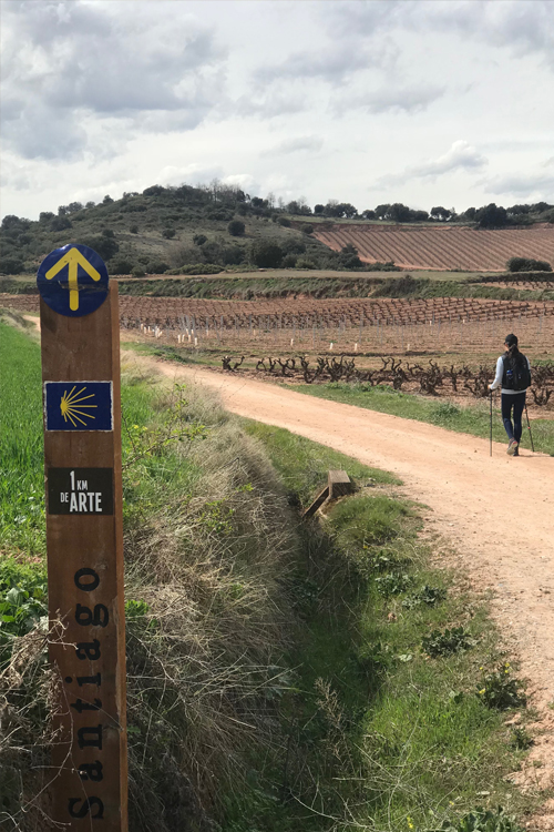 Путь Сантьяго-де-Компостела