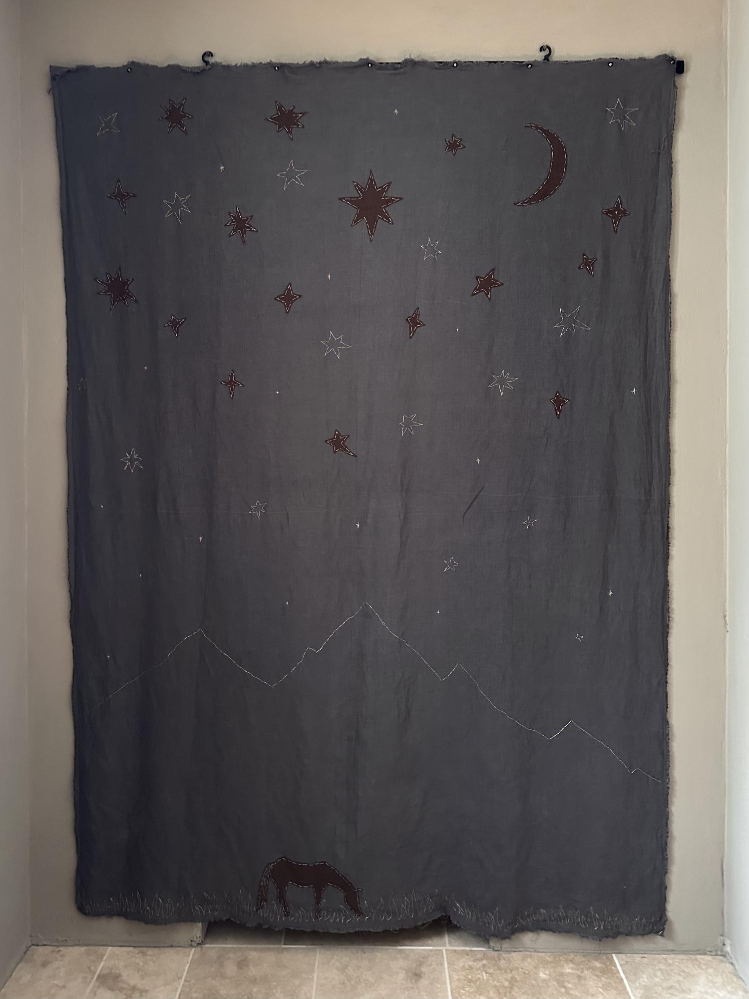 Астры небесные