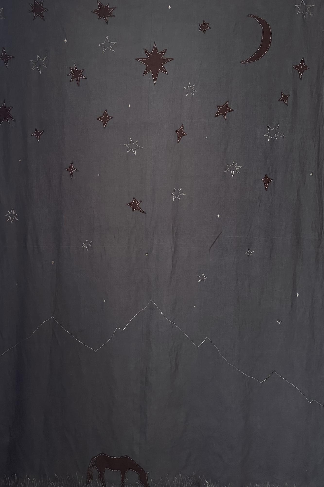 Астры небесные