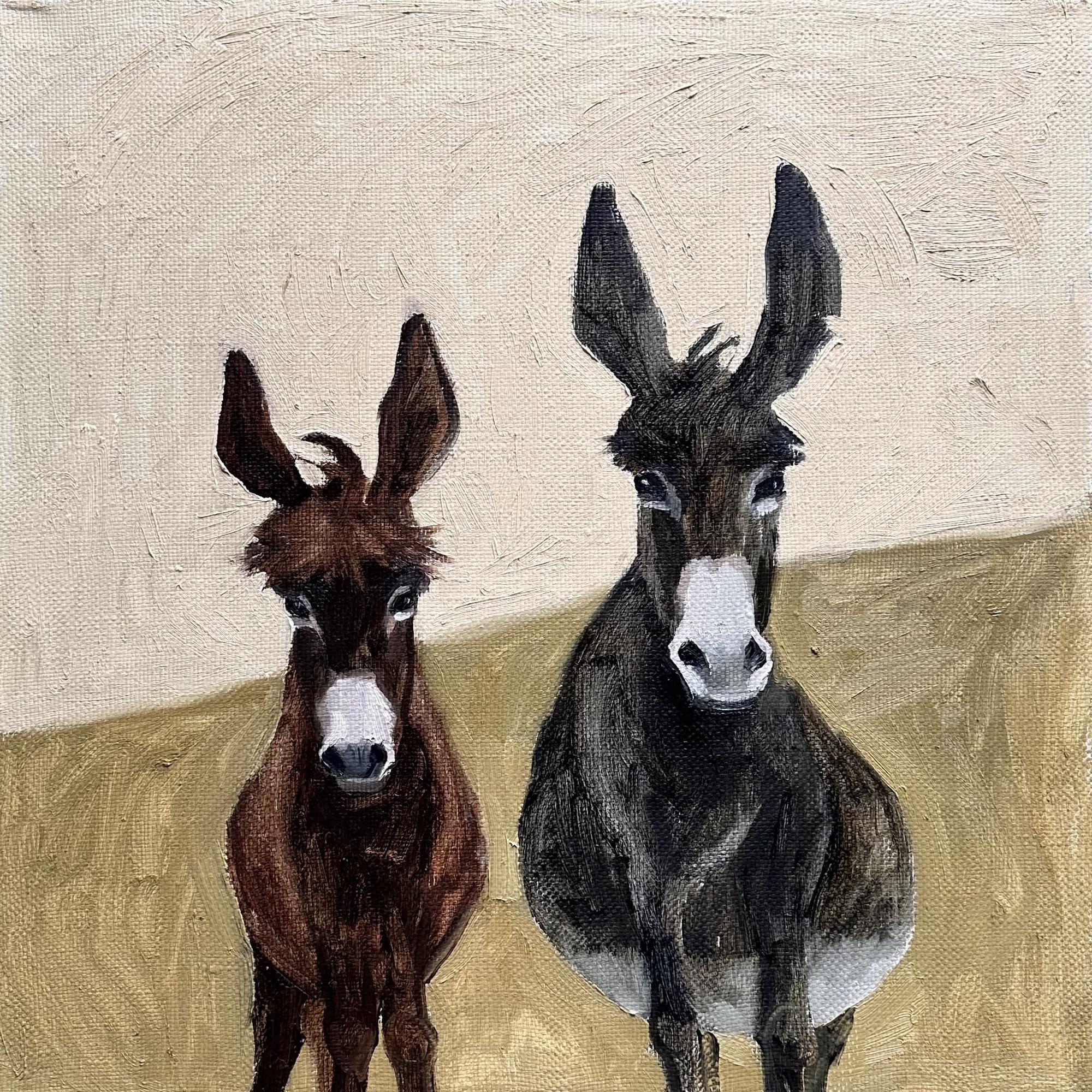 Жители каменного города