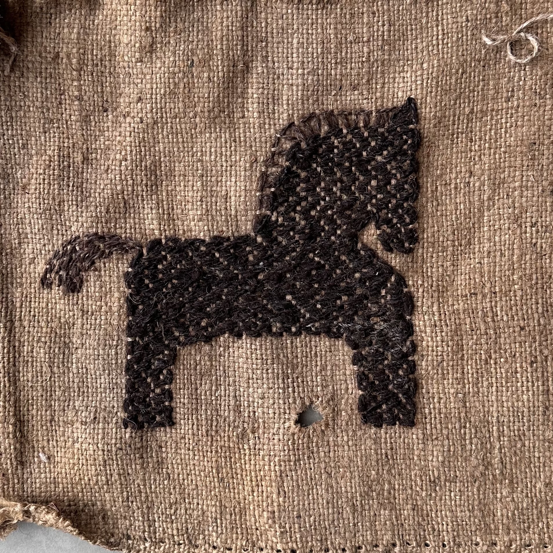 Маленький мустанг