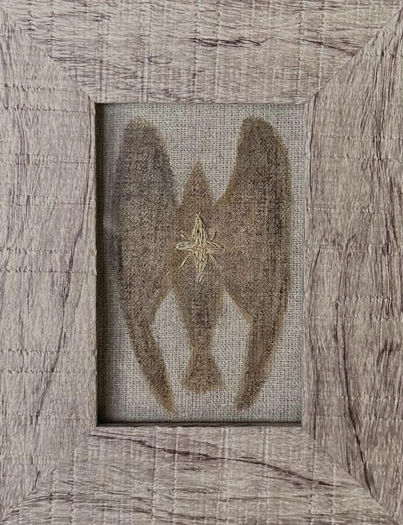 Птица со звездой