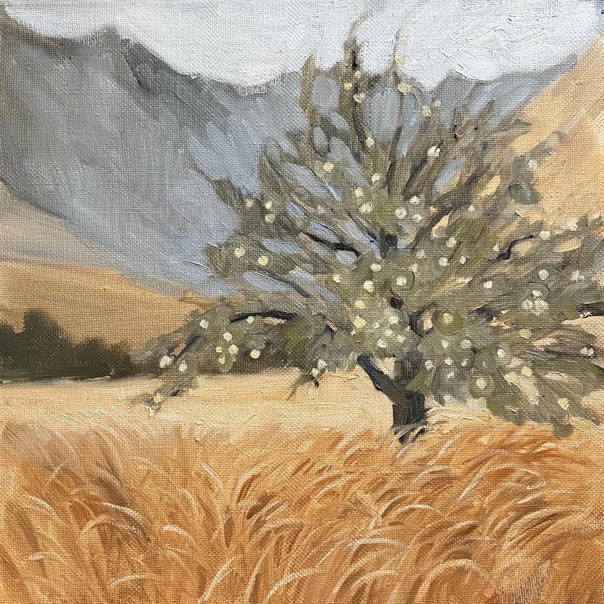 Изобильный край