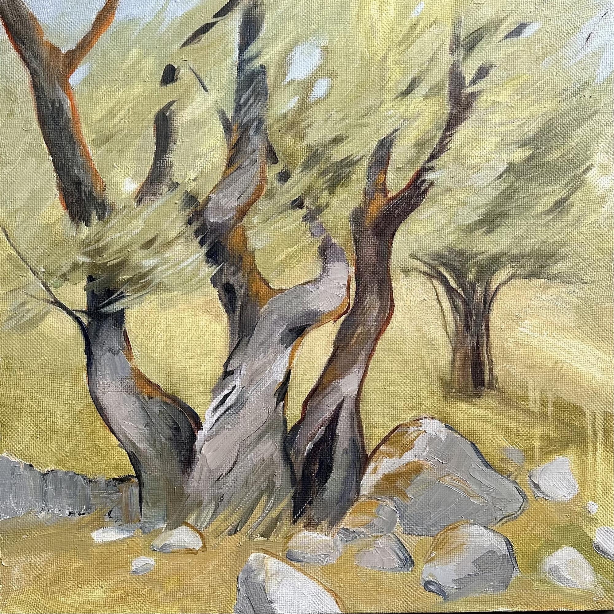 Ветер в старых ивах