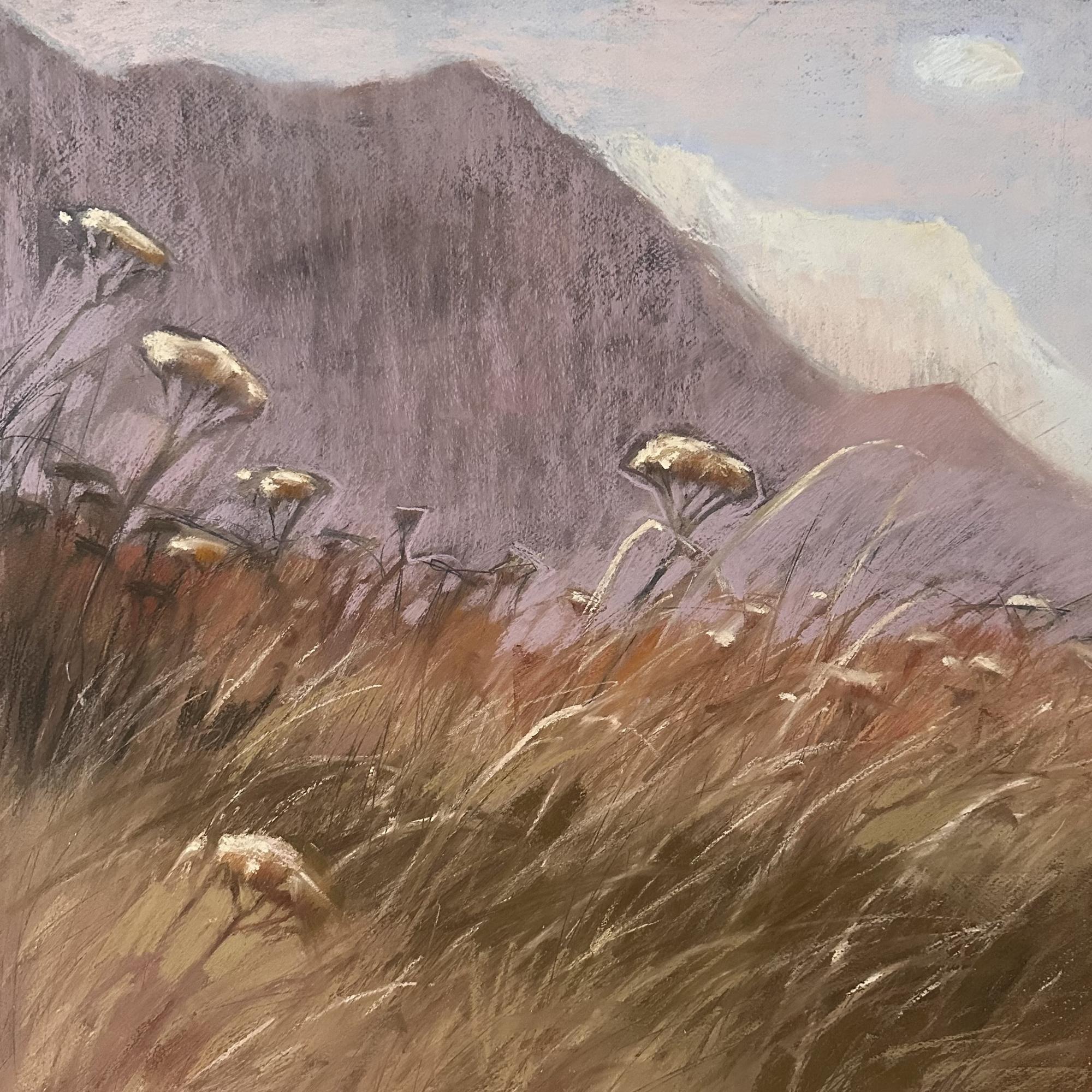 На ветренном склоне