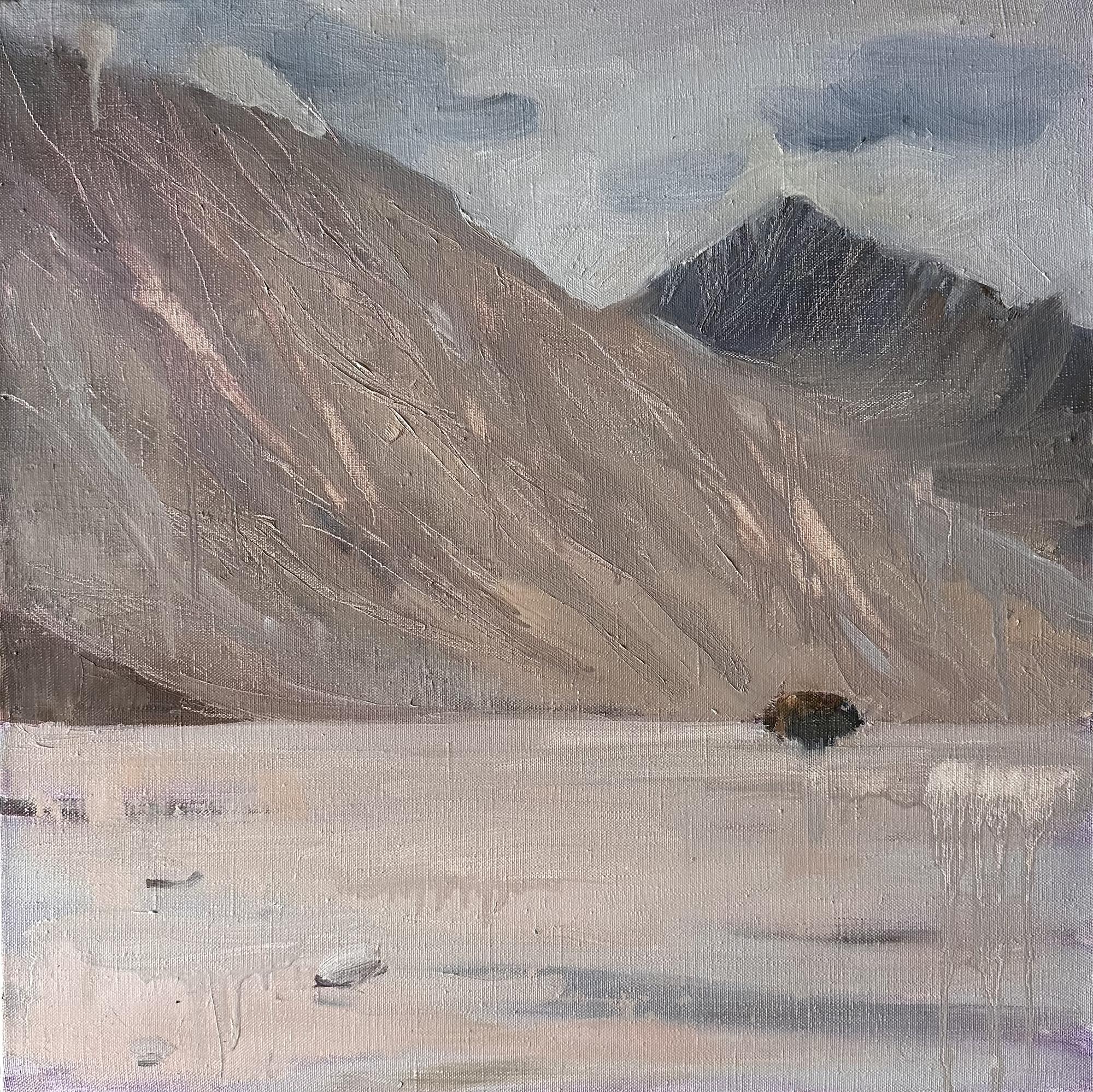 Тихая земля