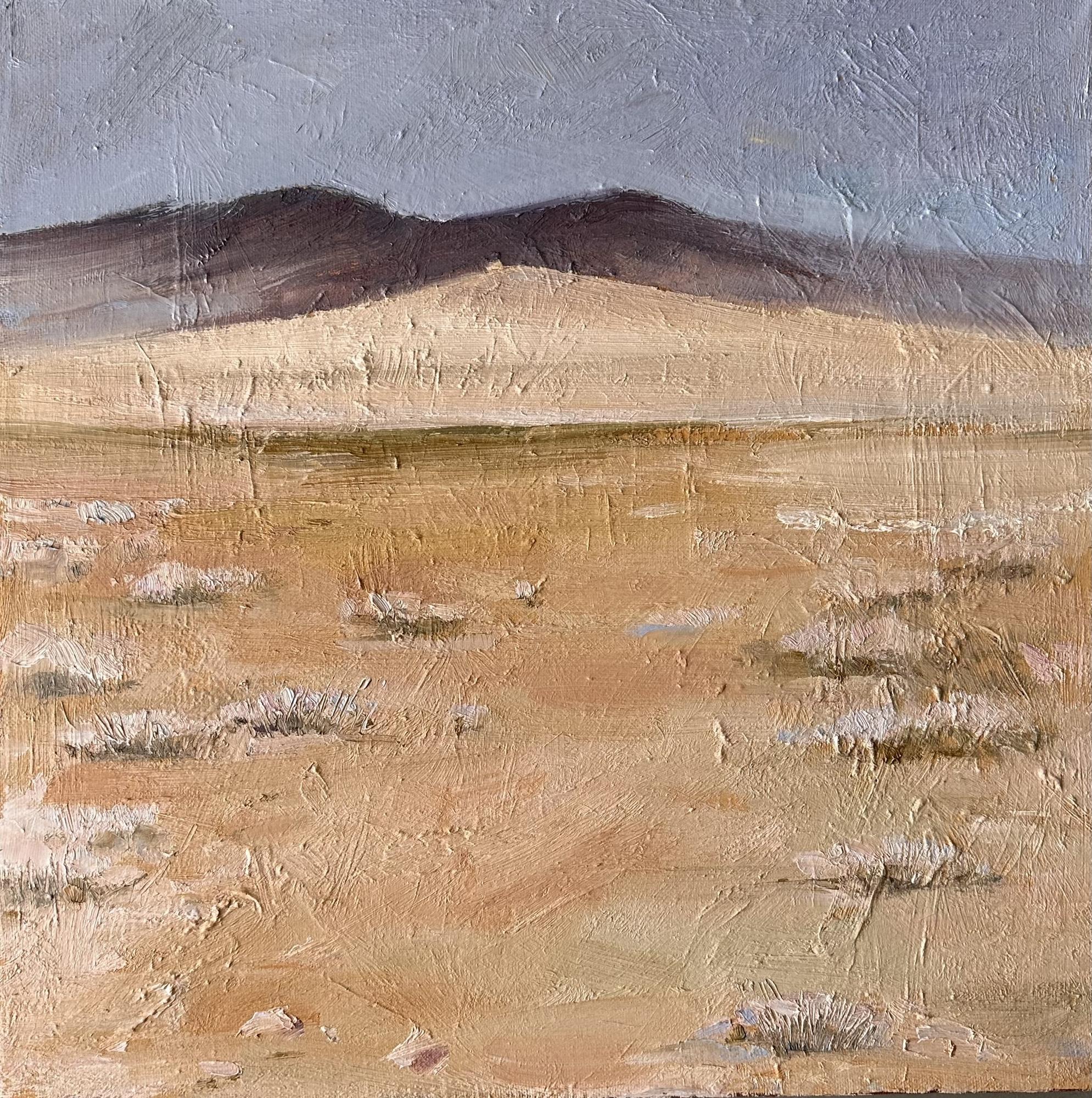 Северная равнина