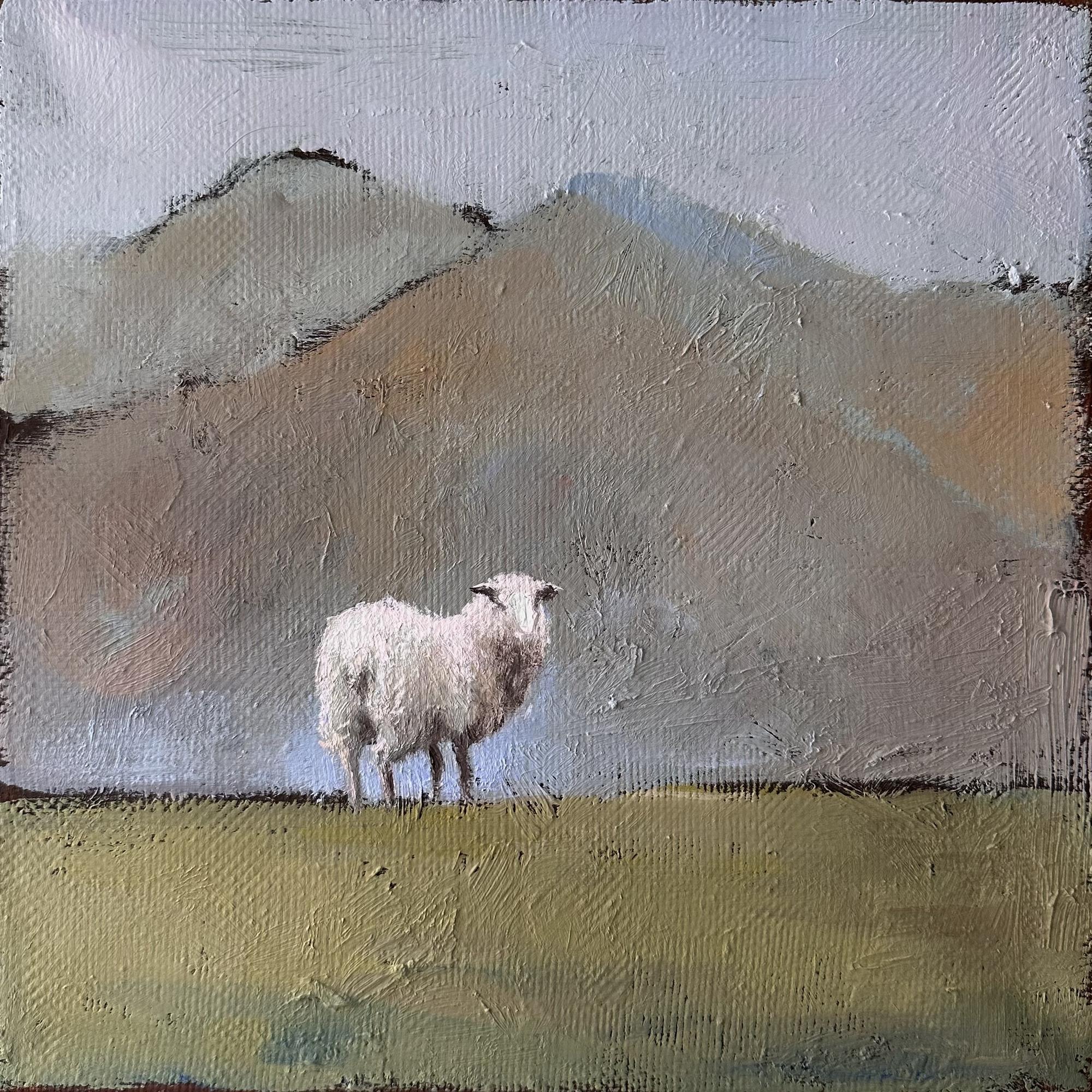 Серия с овечками