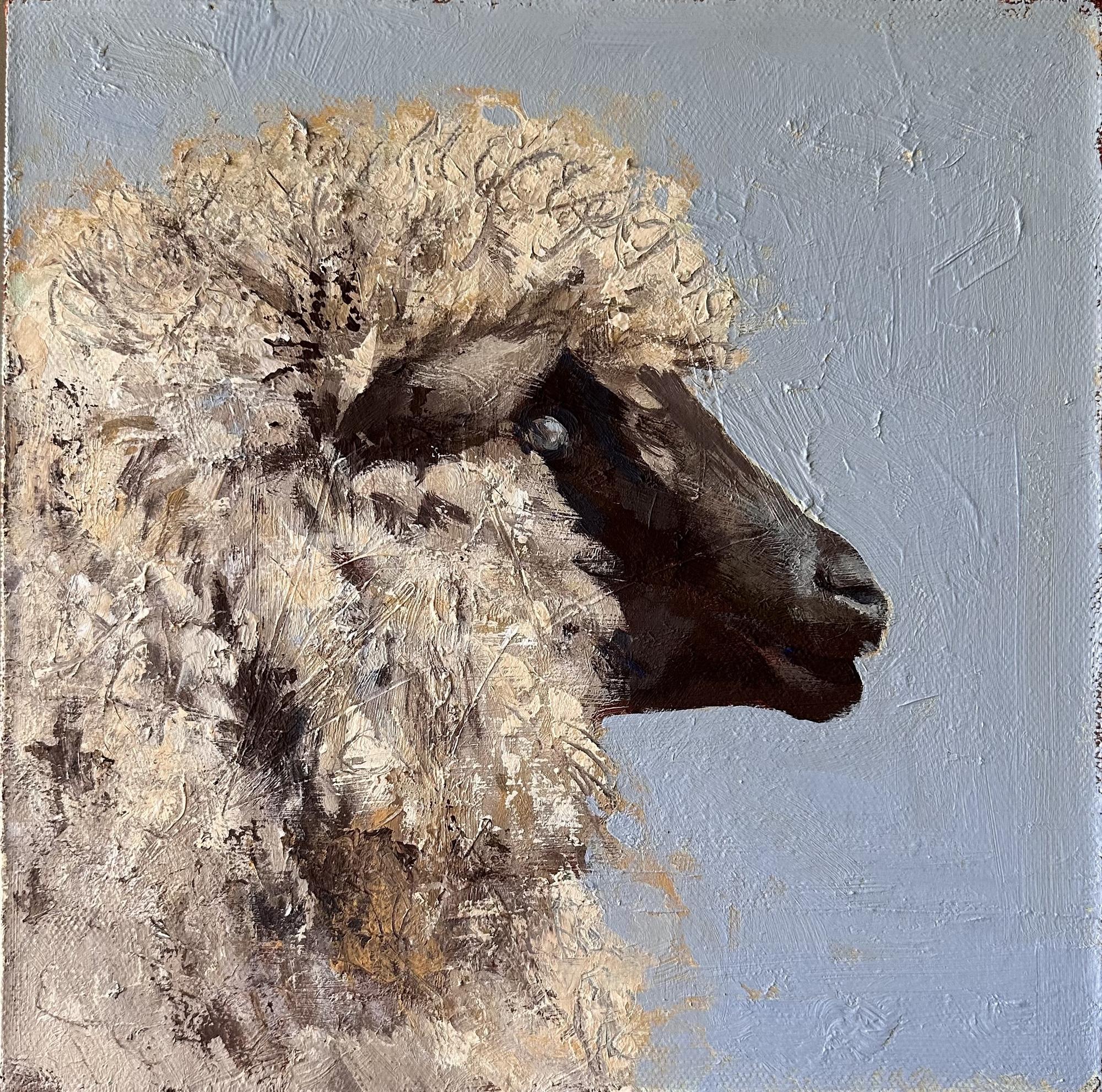 Серия с овечками