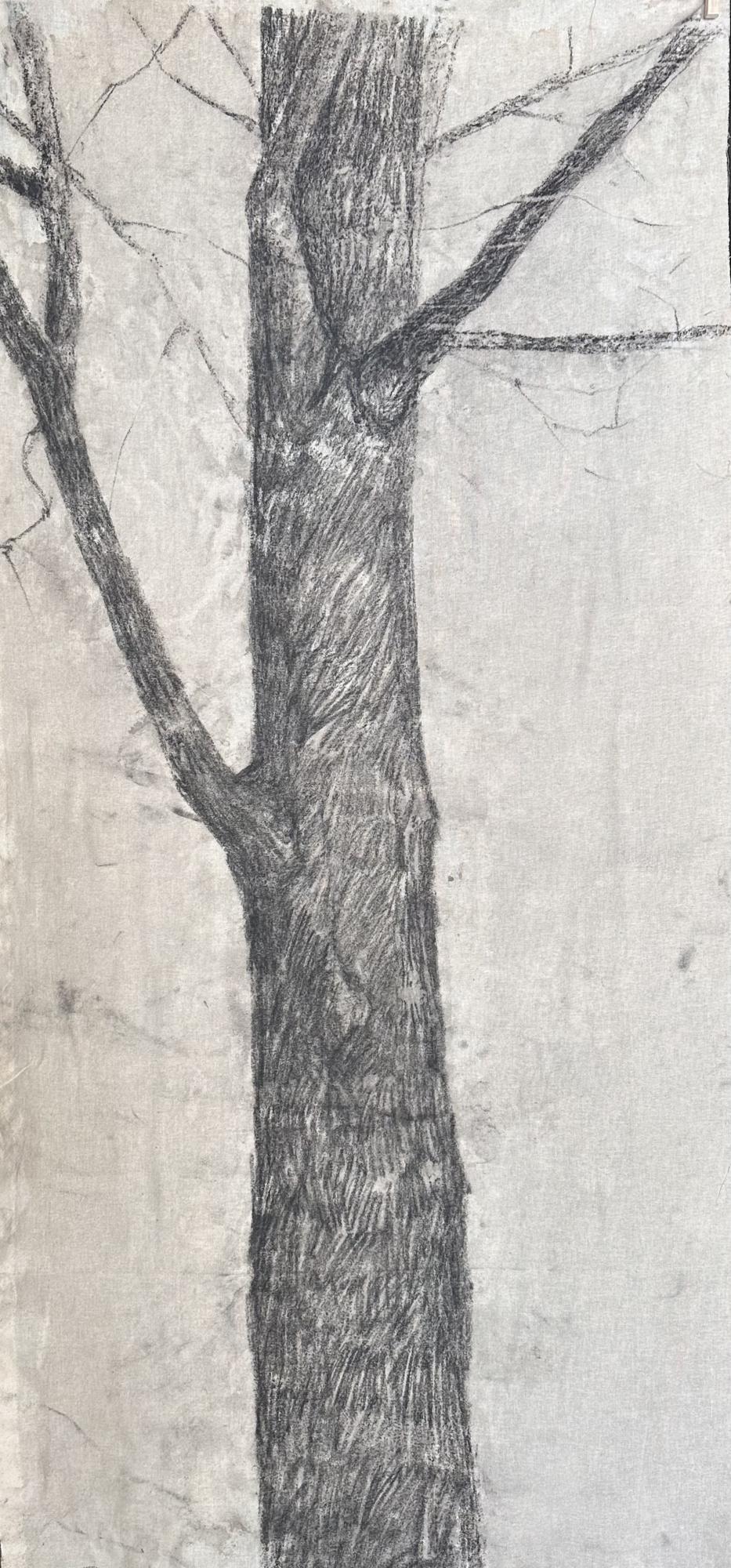 Старые деревья