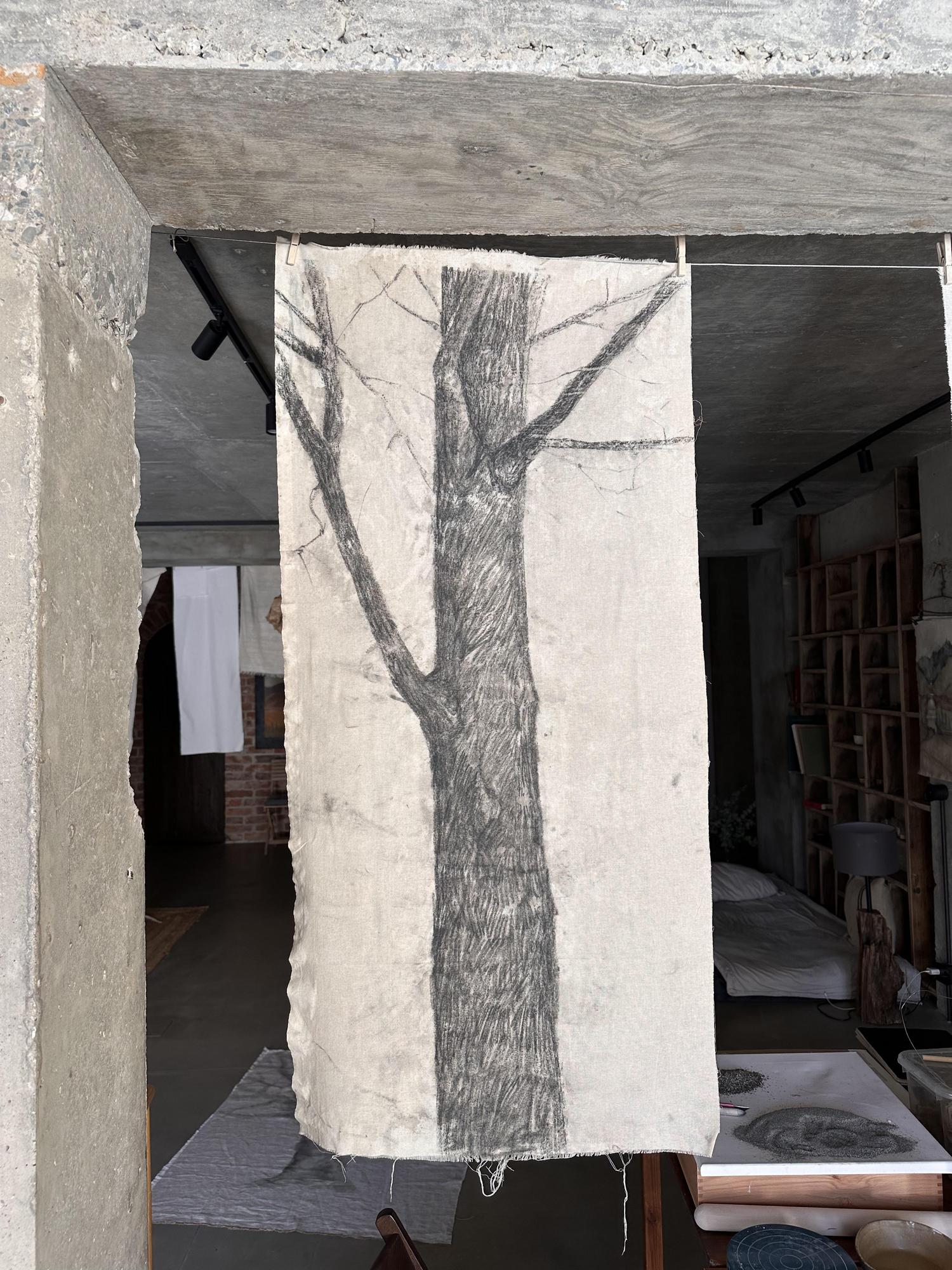 Старые деревья