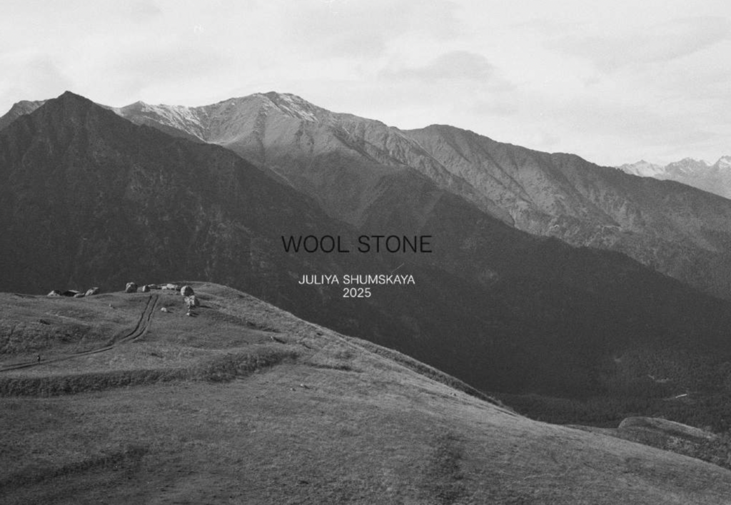 Книга о шерстяных камнях (электр.)