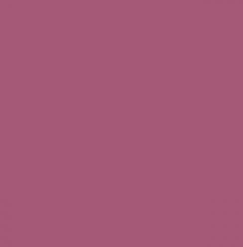 Слива (Damson)