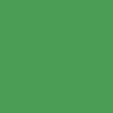 Зеленый хромакей (Chromagreen)