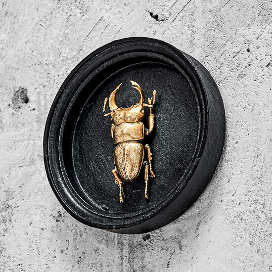 Жук (настенный декор)