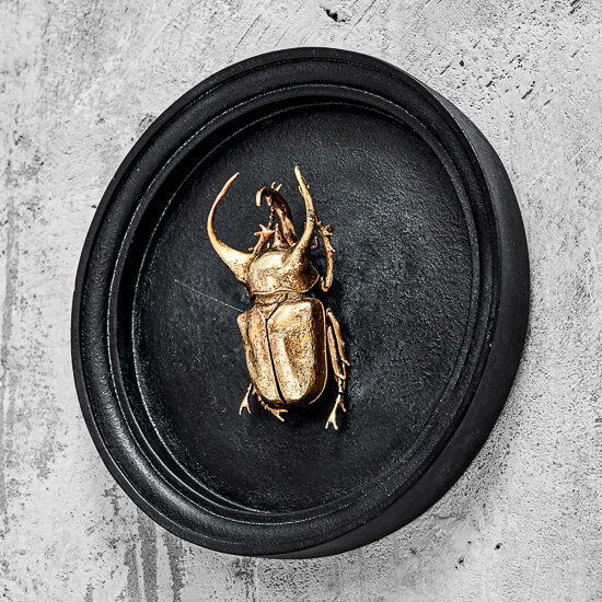 Жук (настенный декор)