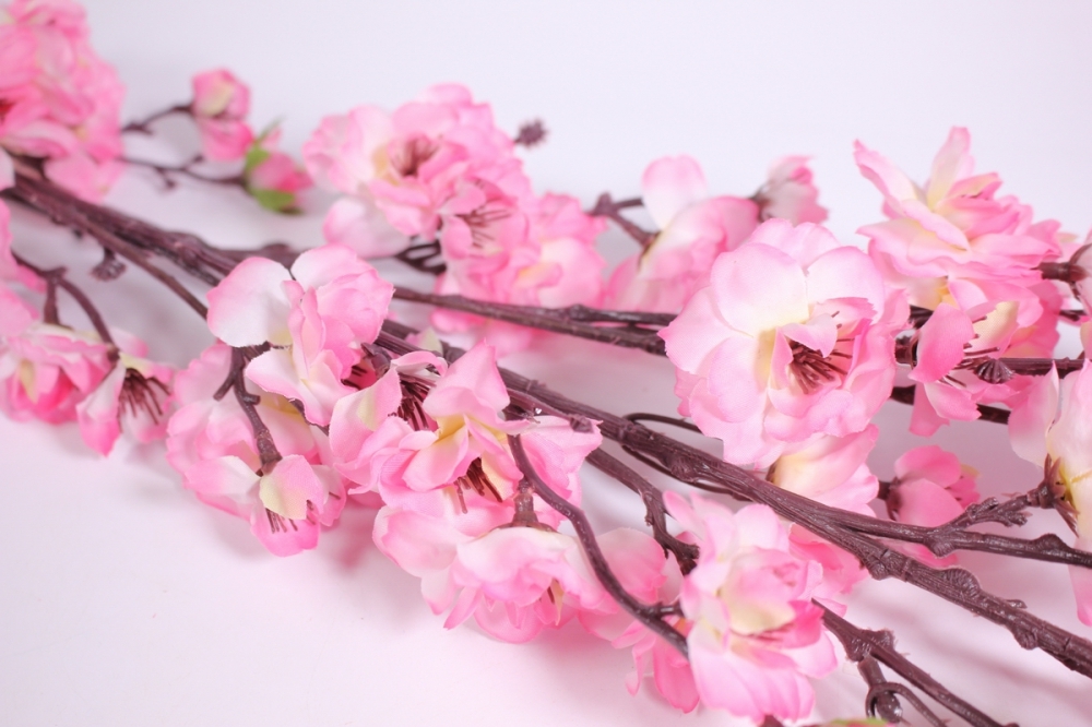 Ветки яблони (сакуры) 7-8 штук