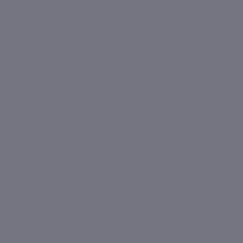 Штормовой серый STORM GREY