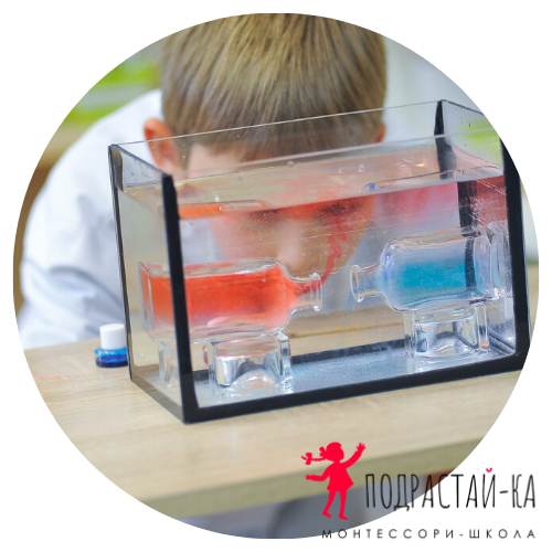 Началка, полный день