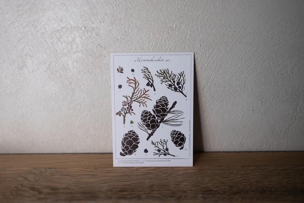 Набор открыток № 9