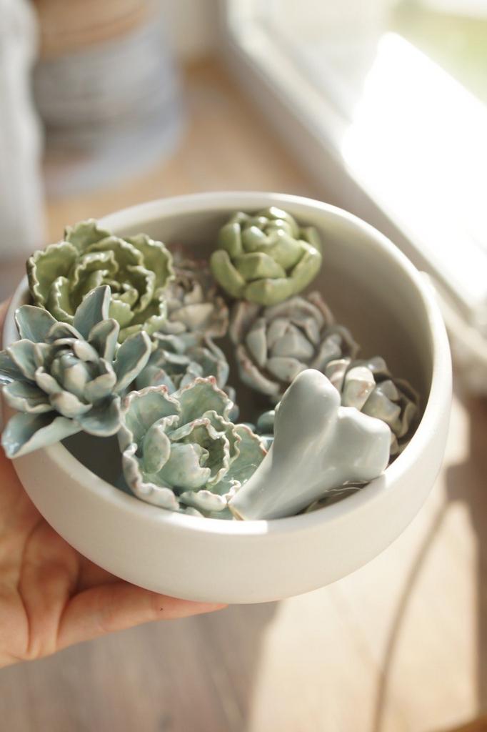 Ручка мебельная "Эхеверия"